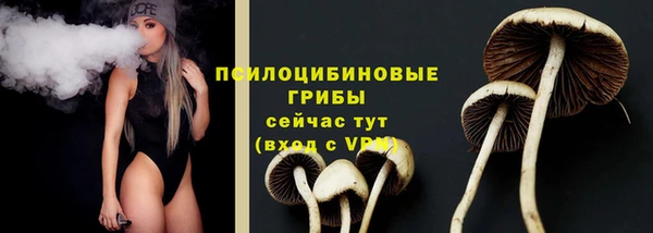 тгк Осташков
