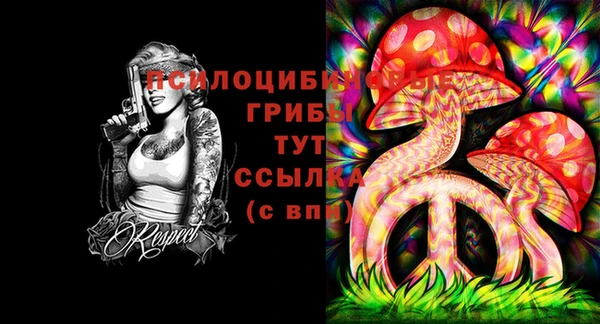 твердый Остров