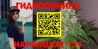 spice Азнакаево