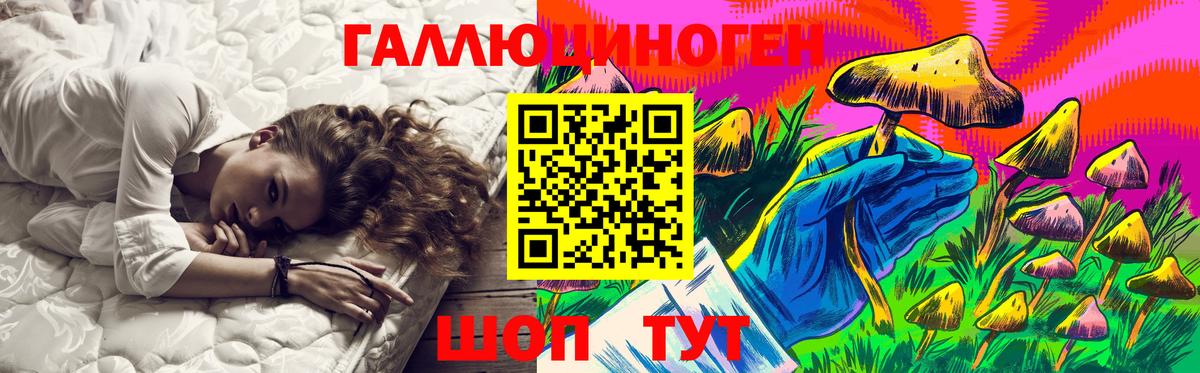 Галлюциногенные грибы Psilocybe Аксай